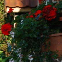 Charmehotel De stokerij te Oudenburg, West-Vlaanderen - Overnachten nabij Brugge, Oostende en De Haan